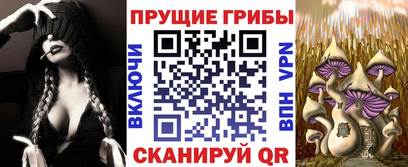 Псилоцибиновые грибы Cubensis  OMG tor  Вихоревка 